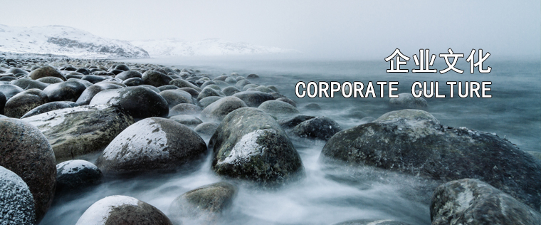 1496891333679976.jpg 281218.jpg