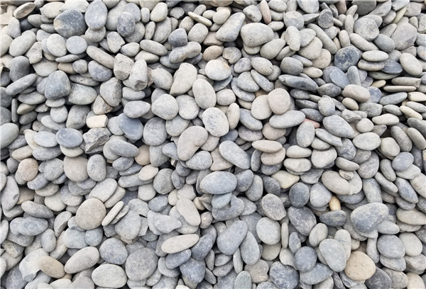 1561869118908983.jpg 20181128_110810.jpg