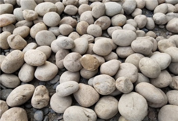 1561869137525953.jpg 20181126_144322.jpg