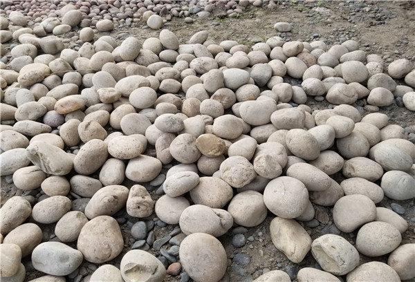 1562550354573863.jpg 20181126_144312.jpg