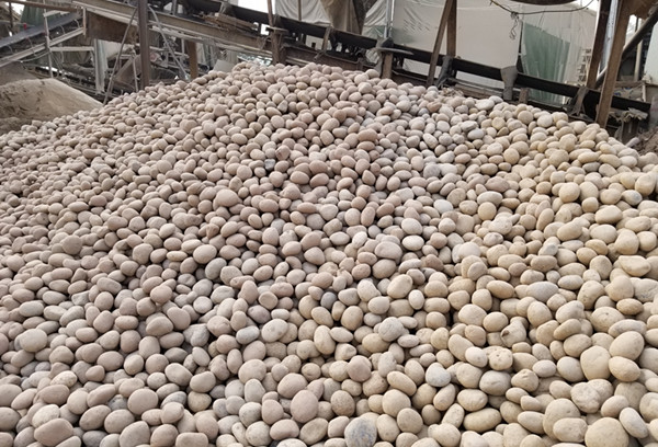 1562550380791190.jpg 20181126_142735_副本.jpg