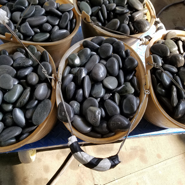 鹅卵石厂家哪里有.jpg 鹅卵石厂家哪里有.jpg